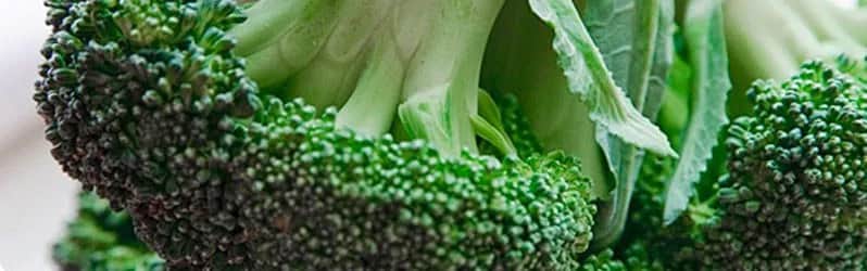 Zdrowe i pyszne dania z brokułami, które pokochają dzieci