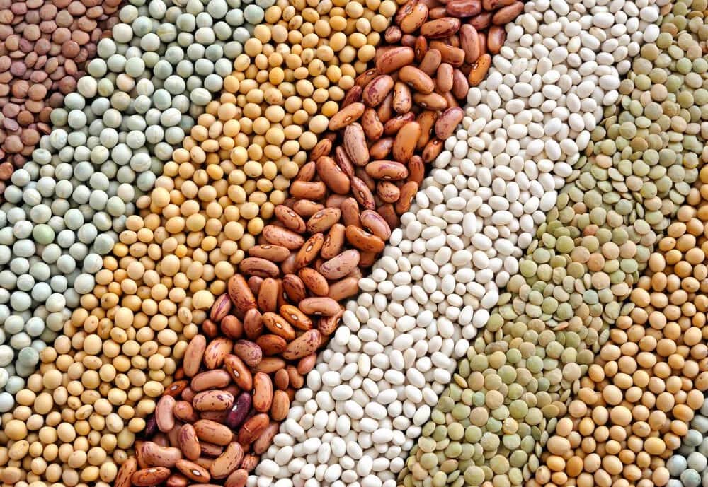 Najwięcej białka roślinnego - najlepsze źródła i wartości odżywcze Najwięcej białka roślinnego - najlepsze źródła i wartości odżywcze