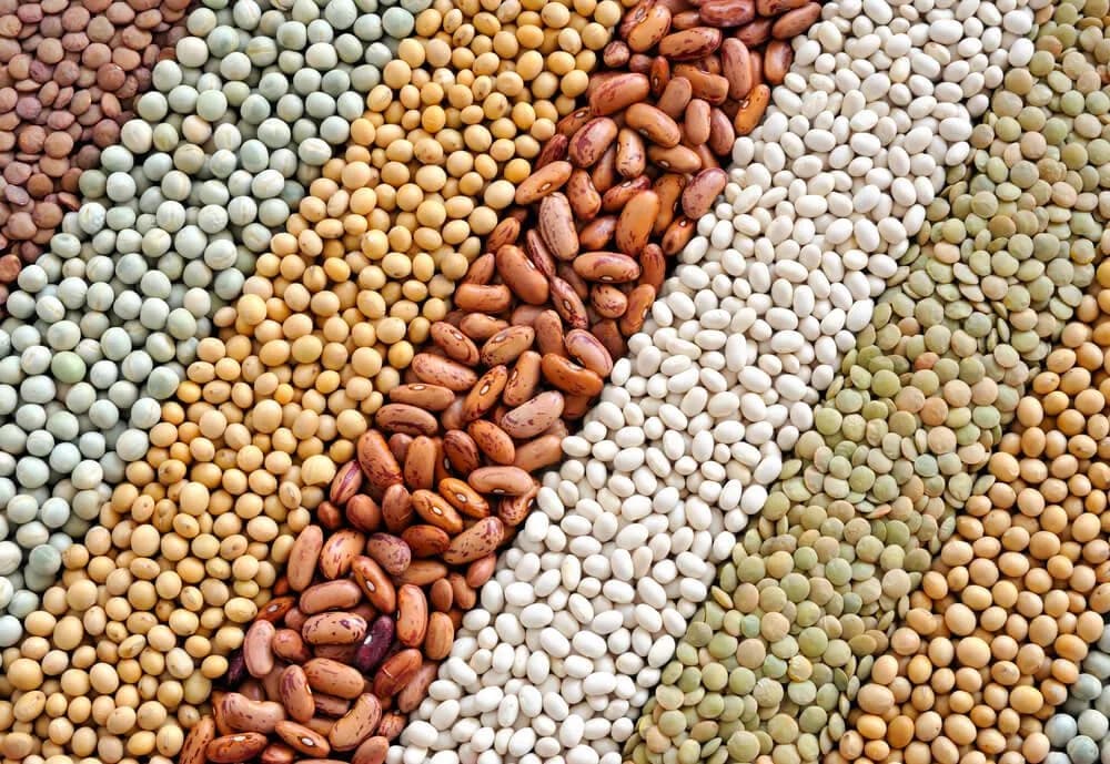 Najwięcej białka roślinnego - najlepsze źródła i wartości odżywcze