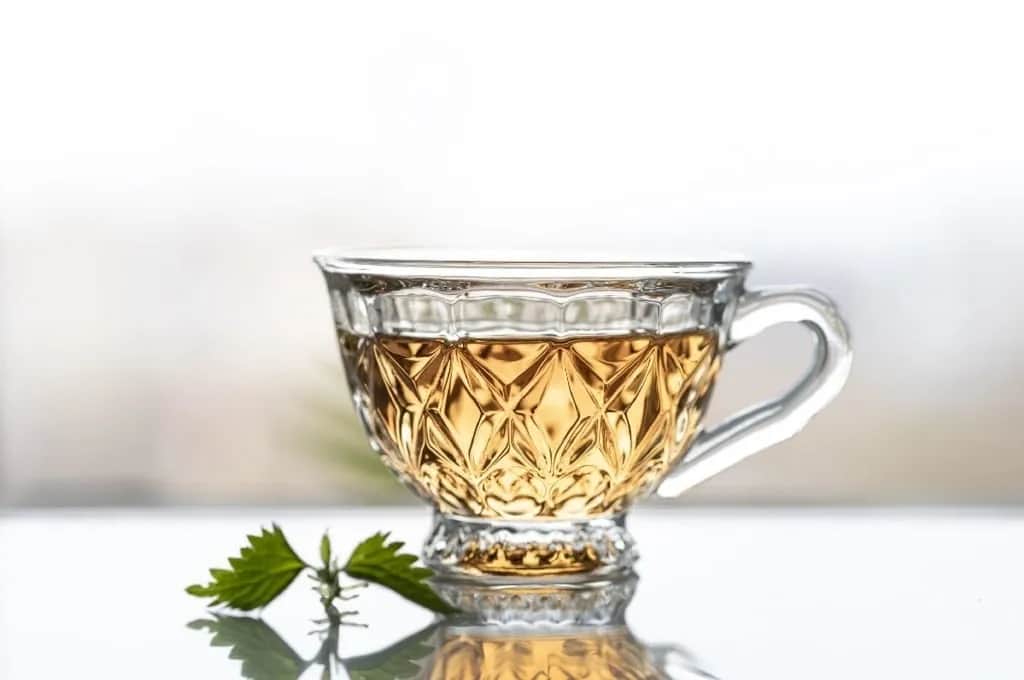 Czy pokrzywa odchudza? Oto jej niezwykłe właściwości wspomagające odchudzanie